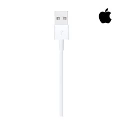 Apple Lightning To USB Cable 2M MD819AM/A - White -3C Electronics Store cable d