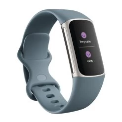 Fitbit Charge 5 Fitness Watch - Blue -3C Electronics Store fitbit charge 5 fitness watch blue 3