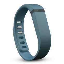Fitbit Flex Replacement Band Small FB153FB-SLS - Slate