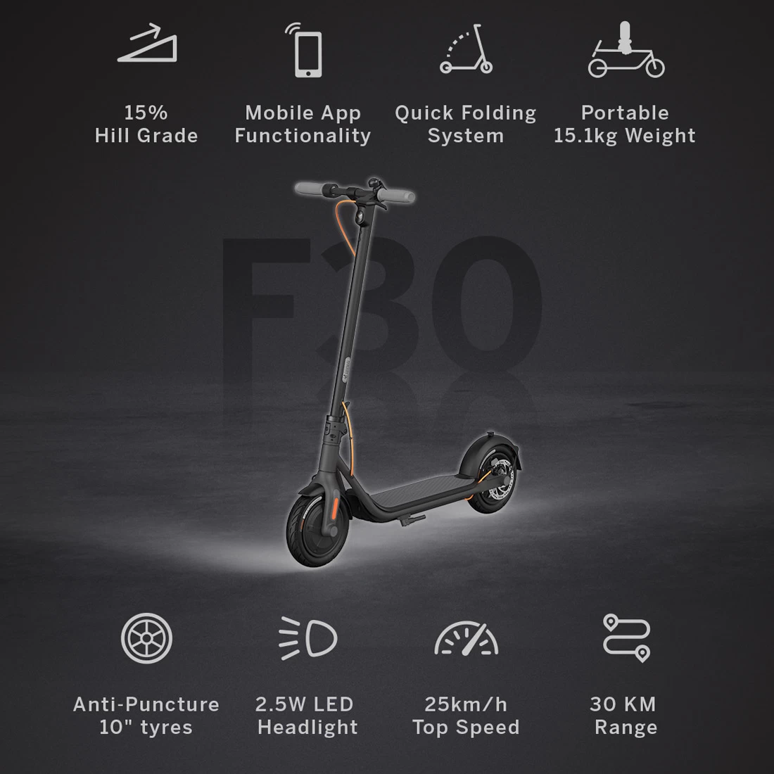 Segway Ninebot Kickscooter F30 - Black 5 Segway Ninebot Kickscooter F30 - Black - Image 3